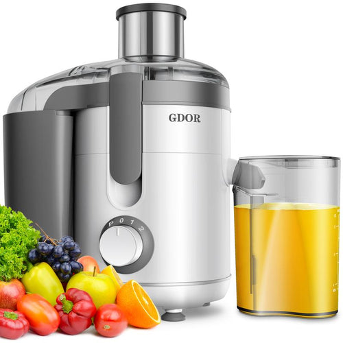 800–1300W Juicer | Wide Feed & Dual Speed