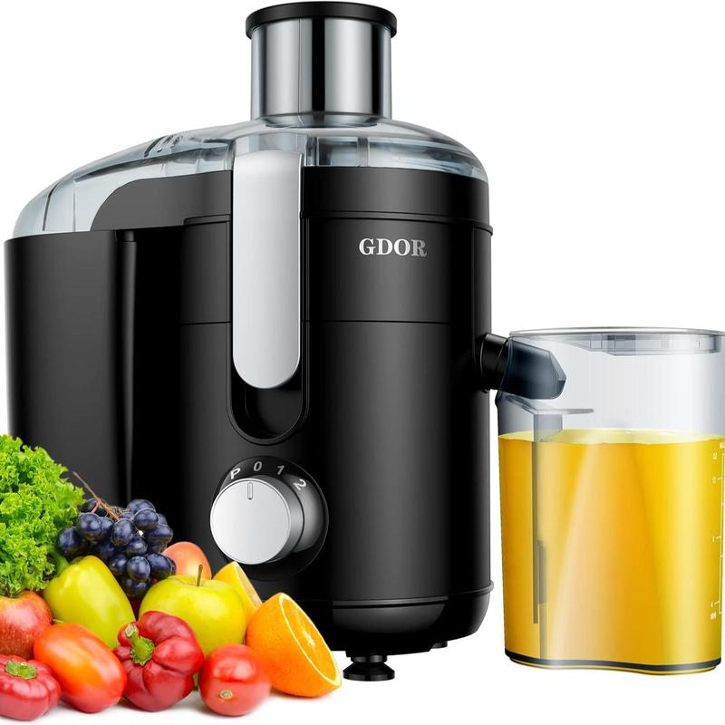 800–1300W Juicer | Wide Feed & Dual Speed