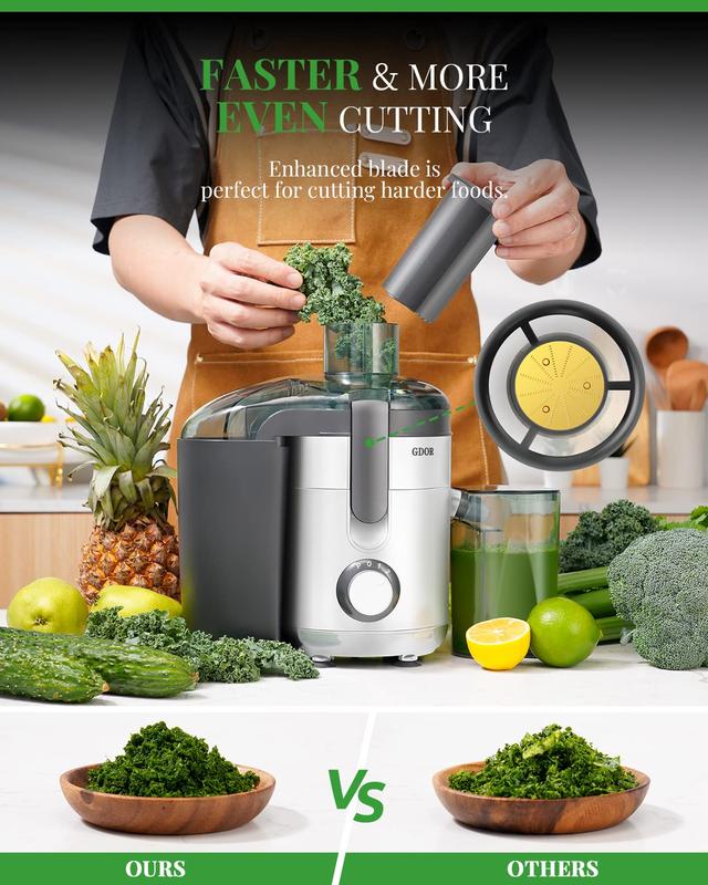 800–1300W Juicer | Wide Feed & Dual Speed